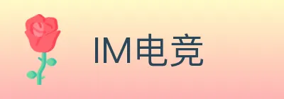 IM电竞 Logo